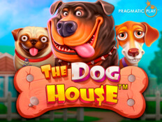 Red dog casino login. Gül renklerinin anlamı.3